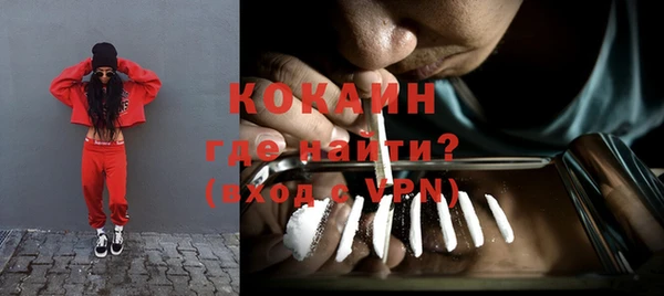 стаф Алзамай