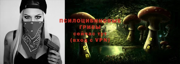 стаф Алзамай