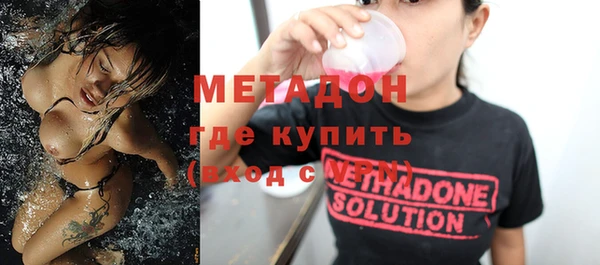 стаф Алзамай